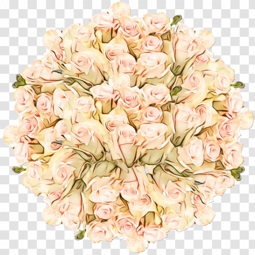 Floral Design Transparent PNG