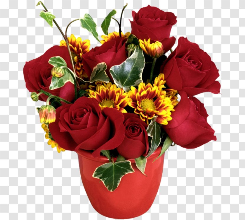 Garden Roses Ornamental Plant Clip Art - Flowering - Chrysanthemum Transparent PNG