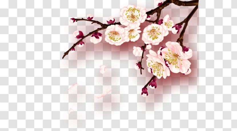 Chinese New Year Plum Blossom Clip Art - Pink - Flower Transparent PNG