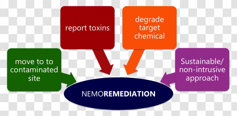 Flowchart Pollution Bioremediation Diagram - Chart Transparent PNG