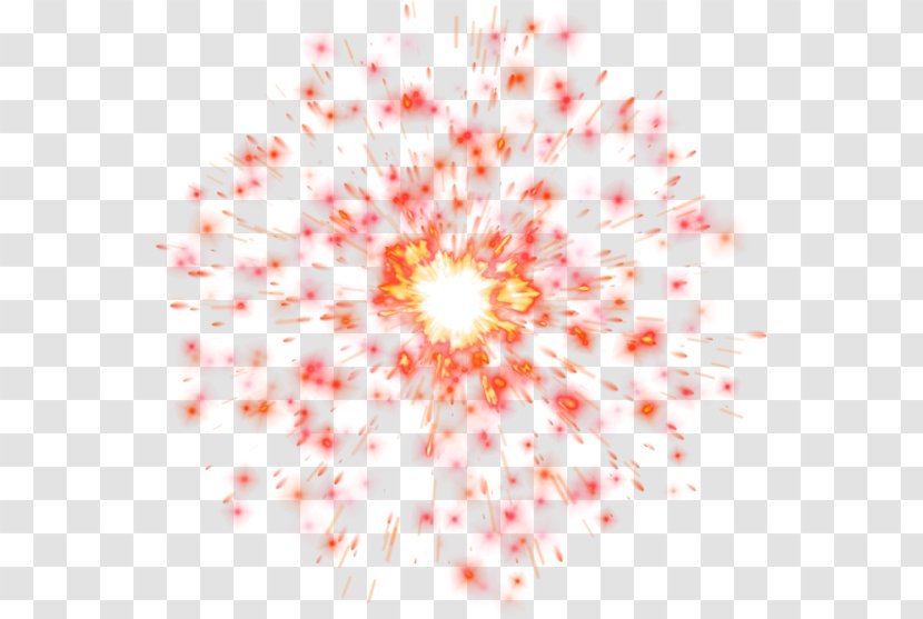 Light 2016 San Pablito Market Fireworks Explosion - Petal Transparent PNG