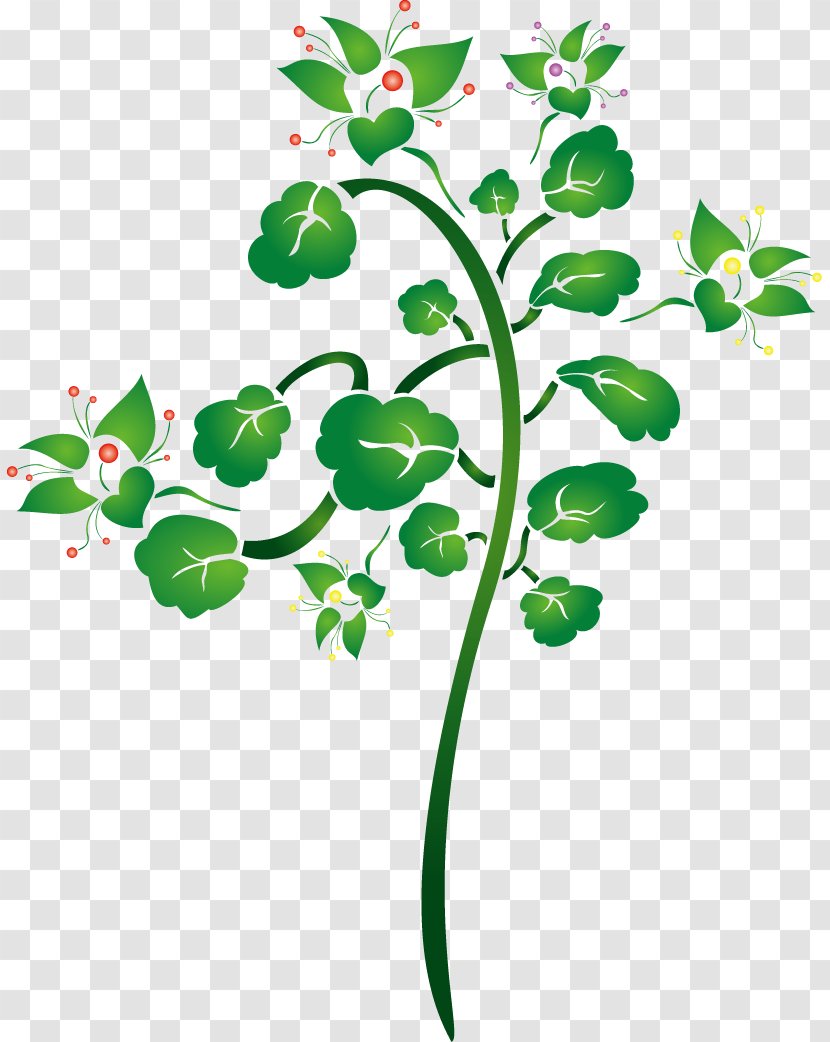 Vector Graphics Clip Art Image Leaf - Flowering Plant - Stem Transparent PNG