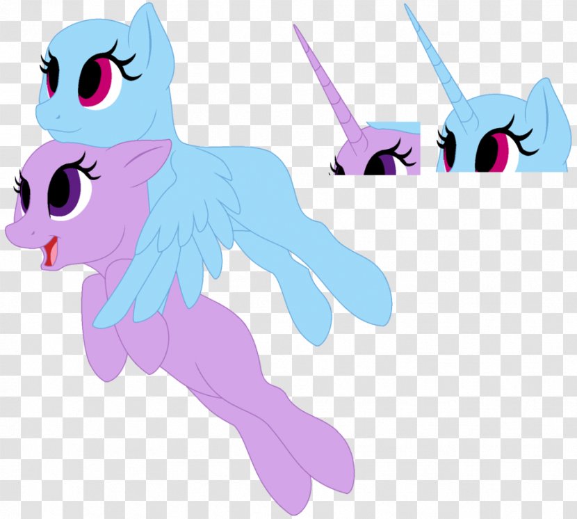 My Little Pony Photography Art - Pegasus - Cuple Transparent PNG