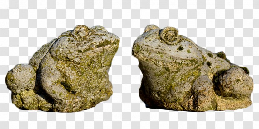 True Frog Toad - Fauna - Two Frogs Stone Pier Like Transparent PNG