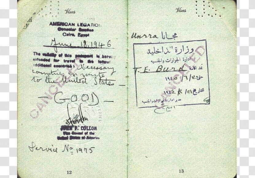 Document Line - Text - Diplomatic Passport Transparent PNG