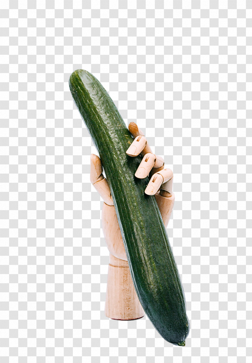 Cucumber Fermented Cucumbers Cucurbits Melon Cucumis Transparent PNG