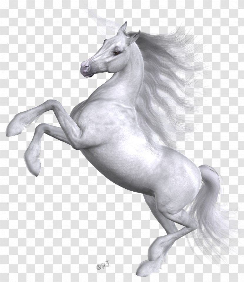 Mustang Stallion Unicorn Halter Mythology - Tail Transparent PNG