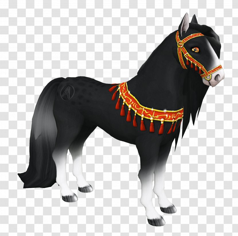 Arabian Horse Show Stallion Mustang Pony - Black Anglo Arab Horses Transparent PNG