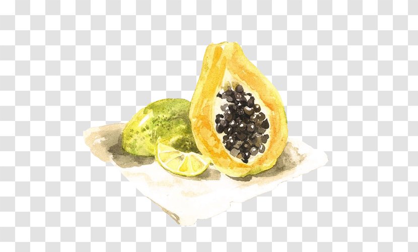 Vegetarian Cuisine Muskmelon Fruit - Pumpkin - Melon Color Material Picture Transparent PNG