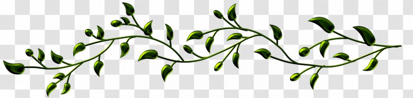 Text Interflora Bossez Fleurs Membre ZAZA-RAMBETTE LE RETOUR Illustration Drawing - Commodity - Twig Transparent PNG