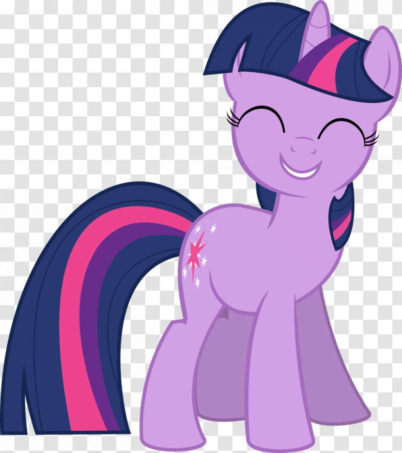 Twilight Sparkle Rarity Pony The Saga - Watercolor - Heart Transparent PNG