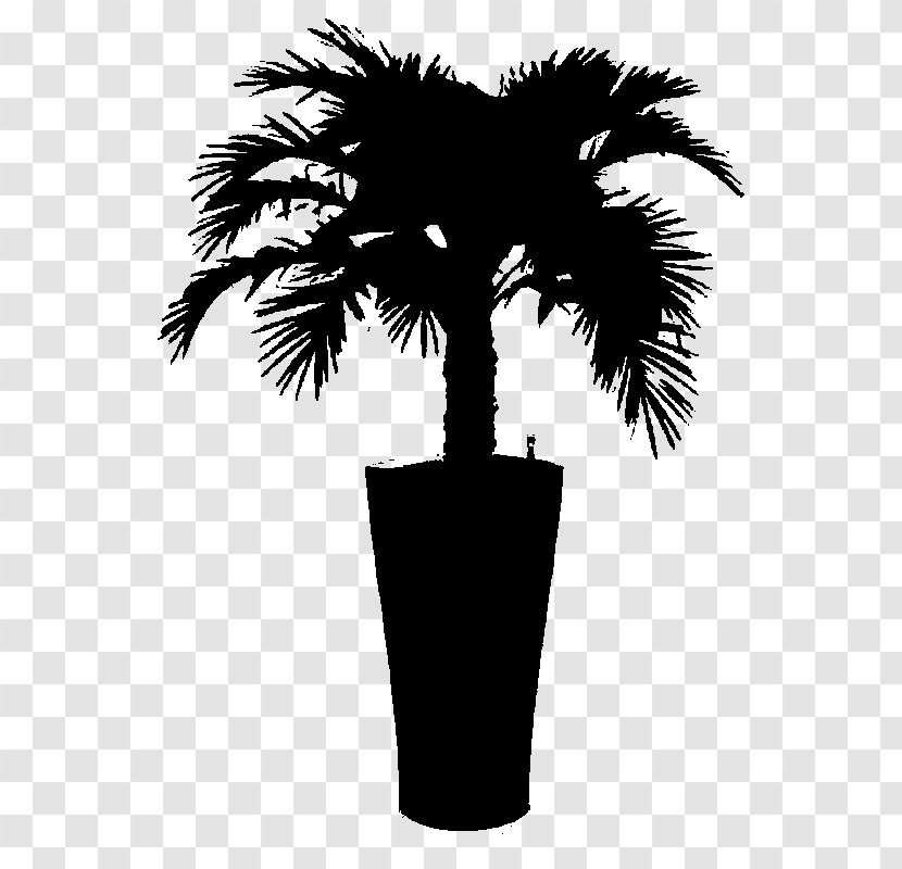 Asian Palmyra Palm Black & White - Blackandwhite - M Date Silhouette Borassus Transparent PNG