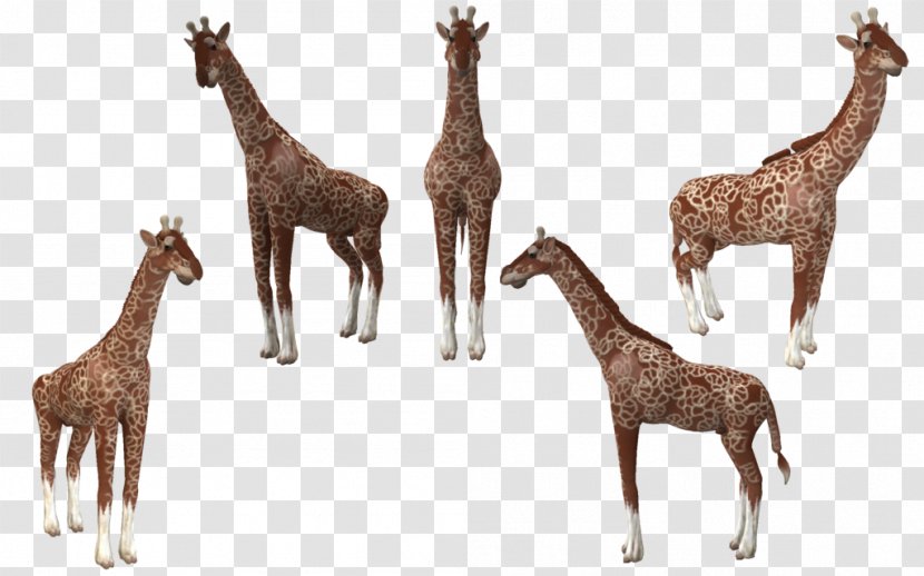 Spore Creatures Reticulated Giraffe Animal Deer Transparent PNG