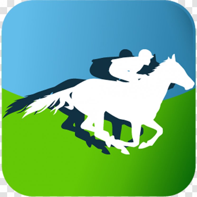 Thoroughbred Pony Stallion Horse Racing Los Alamitos Race Course - Fictional Character - Pack Animal Transparent PNG