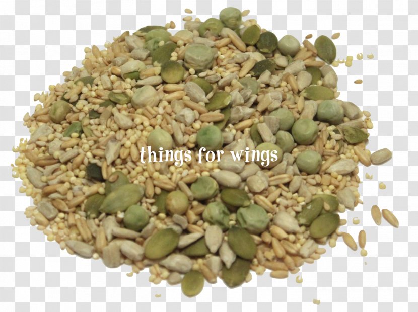 Organic Food Sprouting Herb Certification - Sprout Transparent PNG