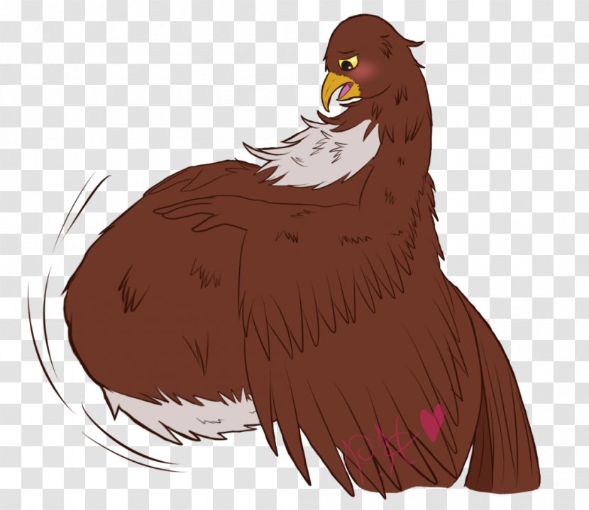 Rooster Chicken Vulture Beak Eagle - Mischief Managed Transparent PNG