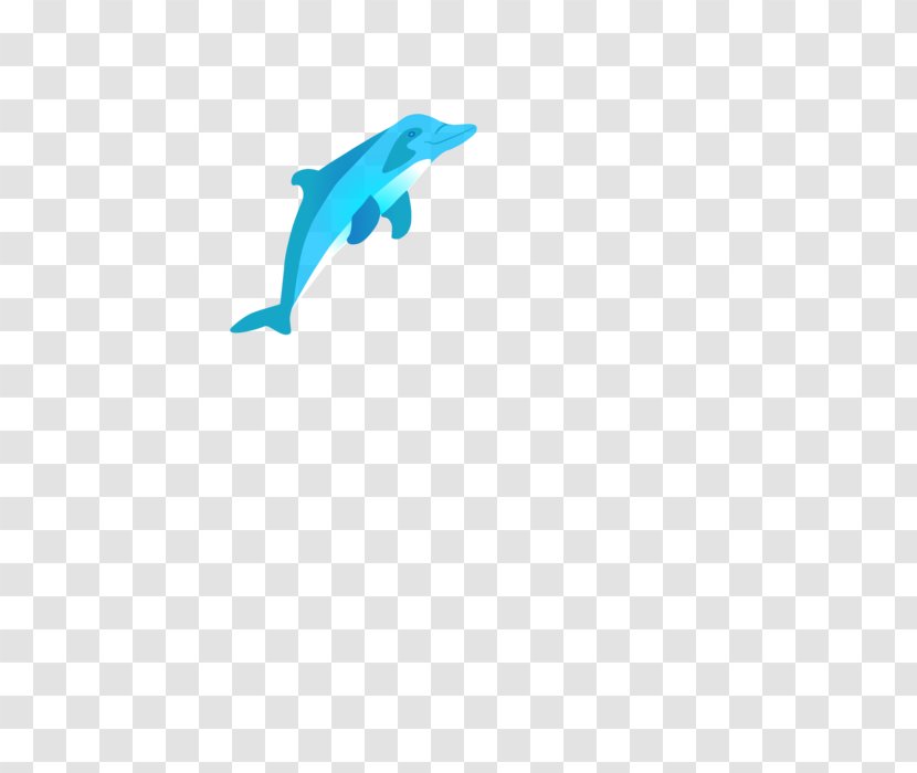 Indo-Pacific Humpbacked Dolphin Clip Art Graphics Mammal - Fin Transparent PNG