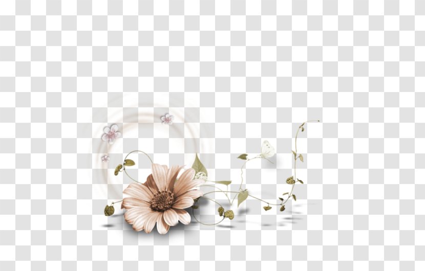 Picture Frames Flower Clip Art - Tableware - Cup Transparent PNG