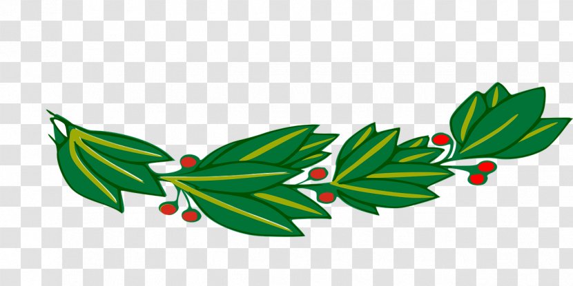 Branch Laurel Wreath Bay Clip Art - Grass - Leaf Transparent PNG