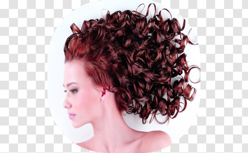 Beauty Parlour Hairdresser Hair Conditioner Roller - Ringlet - Hairstyle For Editing Transparent PNG