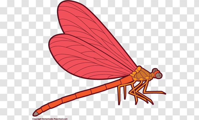 Dragonfly Download Clip Art - Drawing - Cliparts Transparent PNG