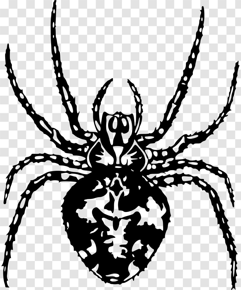 Clip Art Vector Graphics Spider-Man - Drawing - Barn Spider Arthropod Transparent PNG