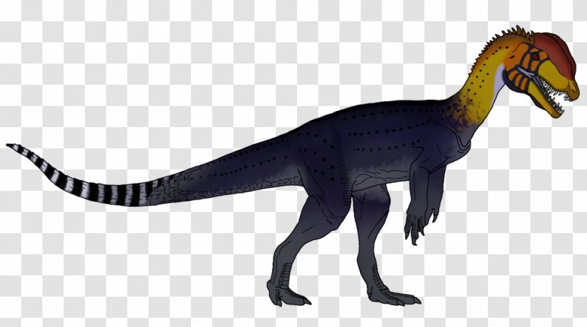 Maiasaura Dilophosaurus Herrerasaurus Dinosaur DeviantArt - Homo Sapiens Transparent PNG