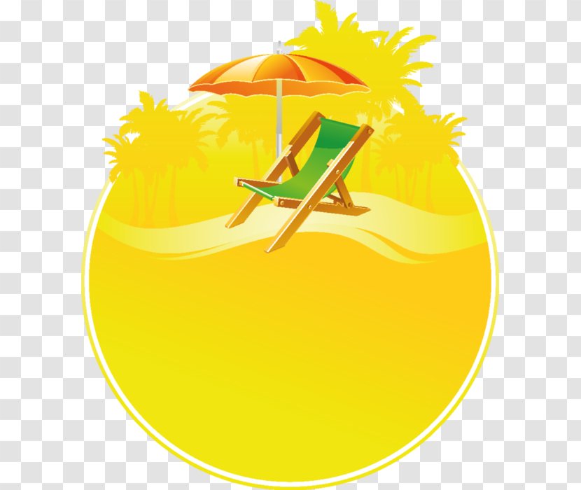 Orange Yellow Fruit - Food Transparent PNG
