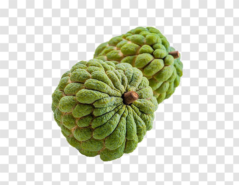 Sugar-apple Custard-apple Sugar Apple - Tropical Fruit - Custard Annona Transparent PNG