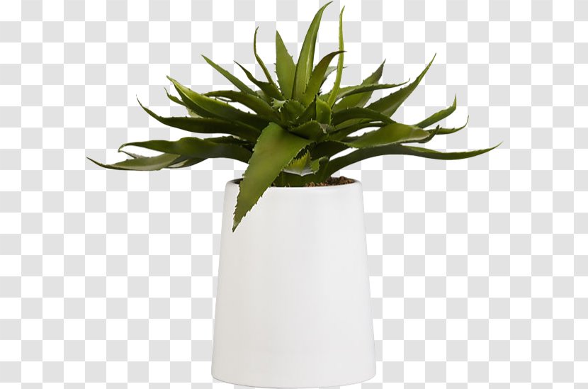 Aloe Vera Houseplant Succulent Plant Flowerpot Artificial Flower - Vase - Viper S Bowstring Hemp Transparent PNG