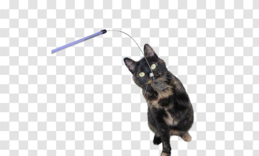 Black Cat Kitten Toys Domestic Short-haired - Tail - Toy Transparent PNG