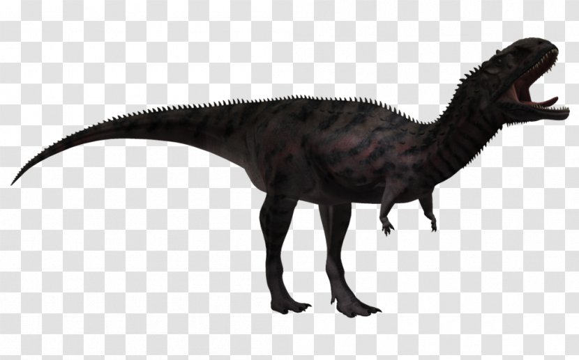 Tyrannosaurus Majungasaurus Velociraptor Carnotaurus Dinosaur - Animal Transparent PNG