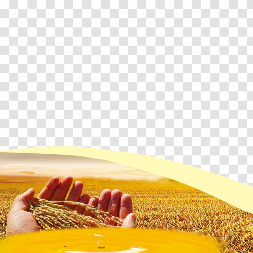 Wheat Grauds Download - Gold Transparent PNG