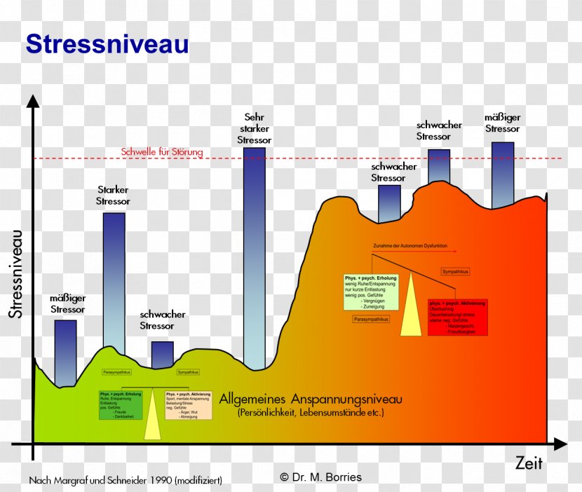 Eustress Stressmodell Von Lazarus Stressreaktion Sympathetic Nervous System - Text - Funny Stress Level Transparent PNG