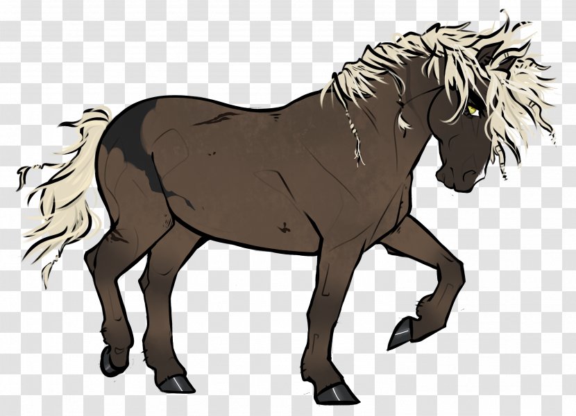 Mule Foal Mustang Mare Stallion - Halter Transparent PNG