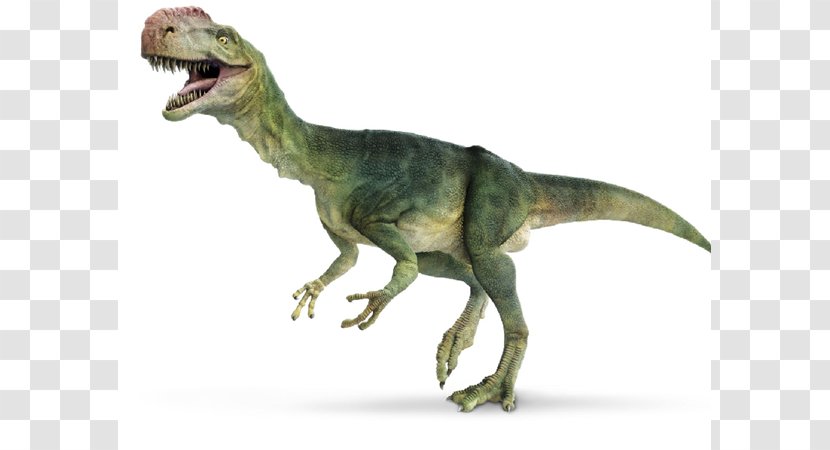 Dinosaur Iguanodon Monolophosaurus Tyrannosaurus Reptile - Ornithopod Transparent PNG