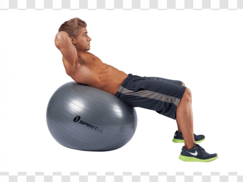 Exercise Balls Shoulder Medicine Physical Fitness - Watercolor - Cartoon Transparent PNG