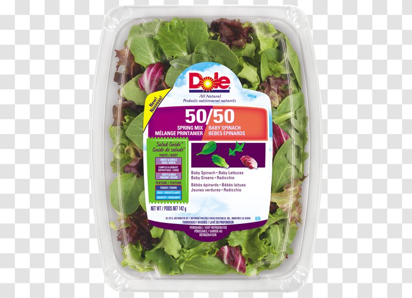 Romaine Lettuce Spinach Salad - Endive Transparent PNG