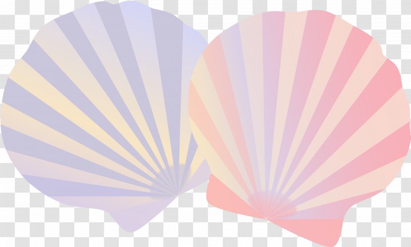 Seashell Illustration Photography Image - Painting - Shell Transparent PNG