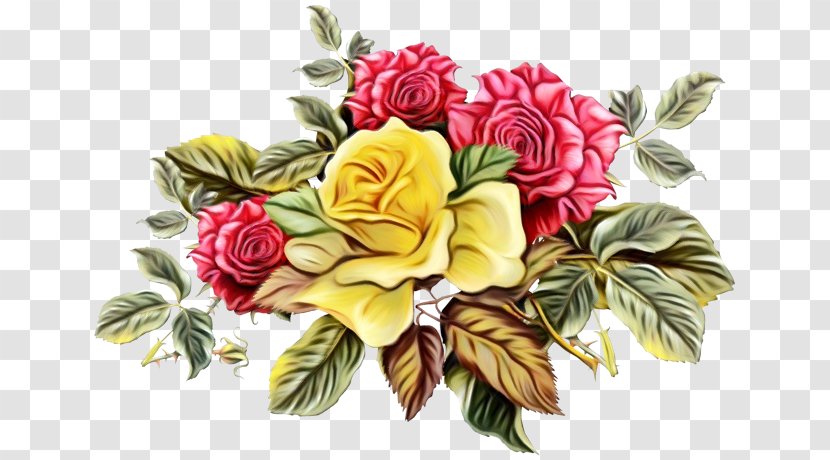 Garden Roses Flower Bouquet Clip Art - Rose Family - Floristry Transparent PNG