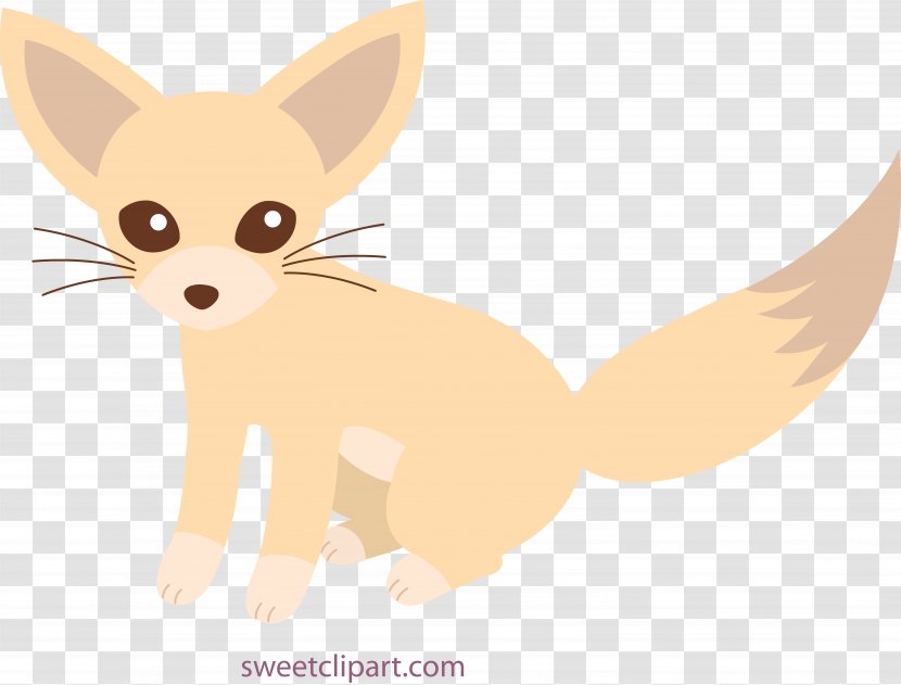 Fennec Fox Drawing Canidae Clip Art - Snout Transparent PNG