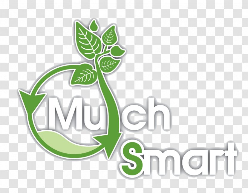 Logo Leaf Brand Flowering Plant Font - Text Transparent PNG