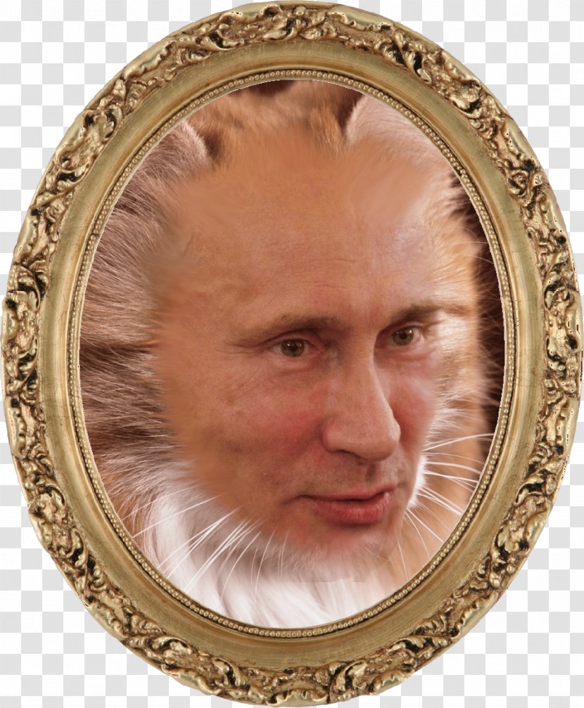 William Shakespeare Poetry Video Import DVD - Putin Face Transparent PNG
