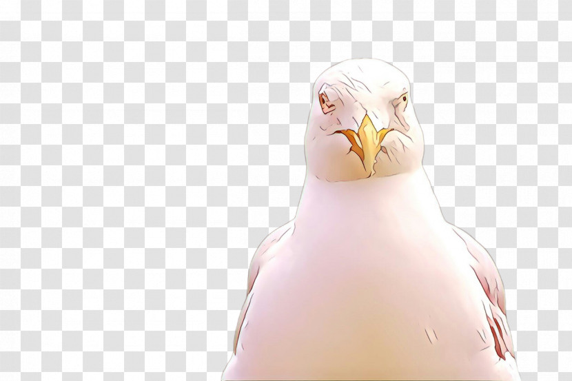 Bird Pink Beak Neck Transparent PNG