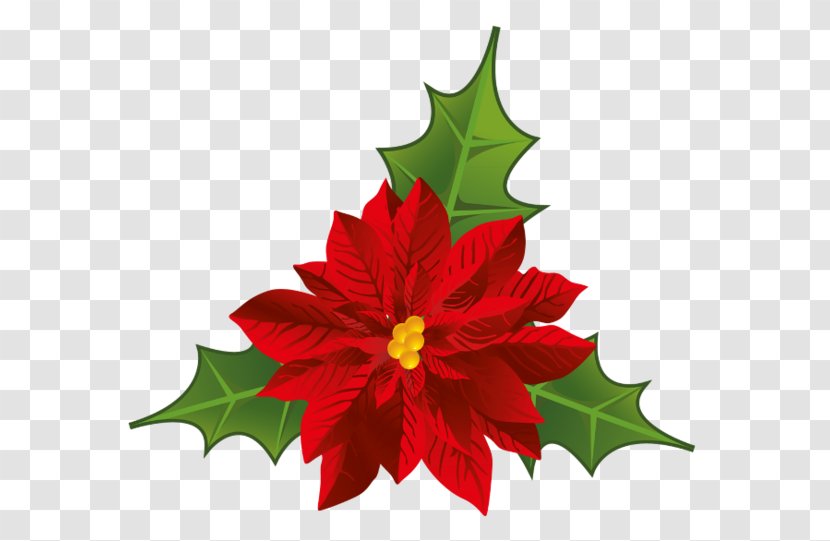 Poinsettia Flower Christmas Clip Art - Leaf Transparent PNG