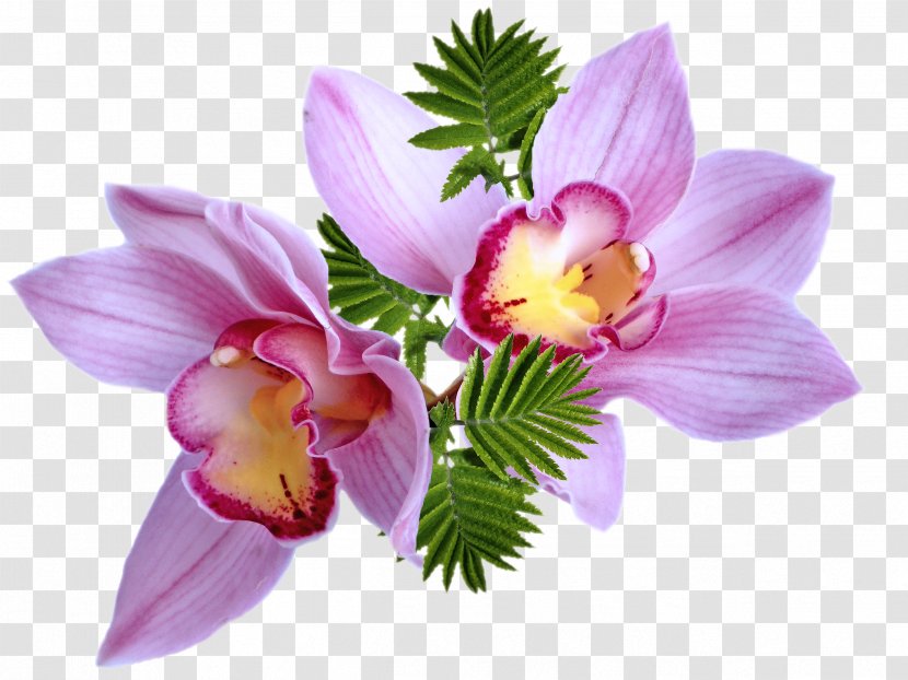 Flower Bouquet Clip Art - Purple - Flowers Transparent PNG