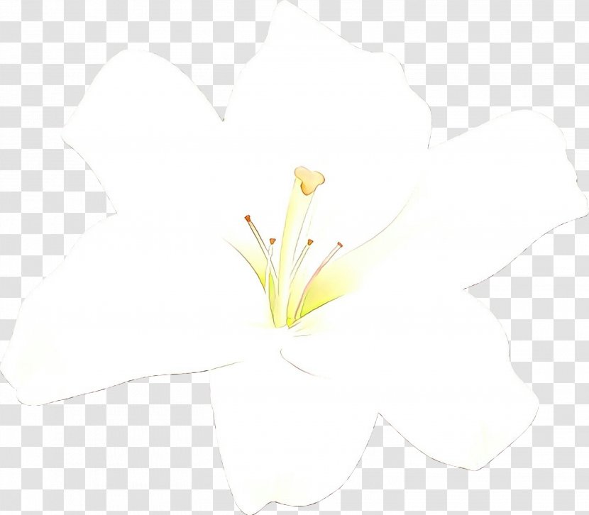Desktop Wallpaper Flowering Plant Computer Stem Branching - Iris Transparent PNG