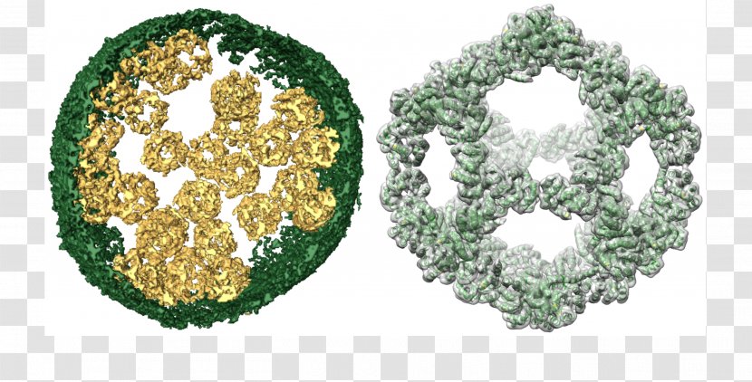 University Of Utah Biochemistry Biology Research Nanomaterials - Molecular Machine - Bioscience Transparent PNG