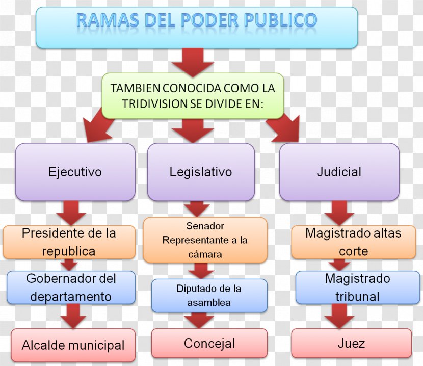 Government Of Colombia Executive Branch Poder Públic Judiciary - Brand - Tree Branches Transparent PNG