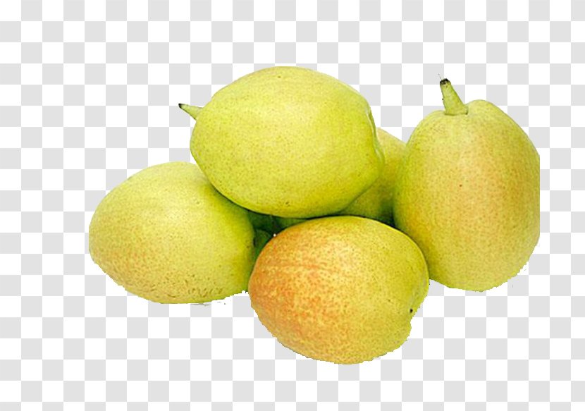 Pyrus Nivalis Lime Fruit Lemon - Natural Foods - Pear Transparent PNG